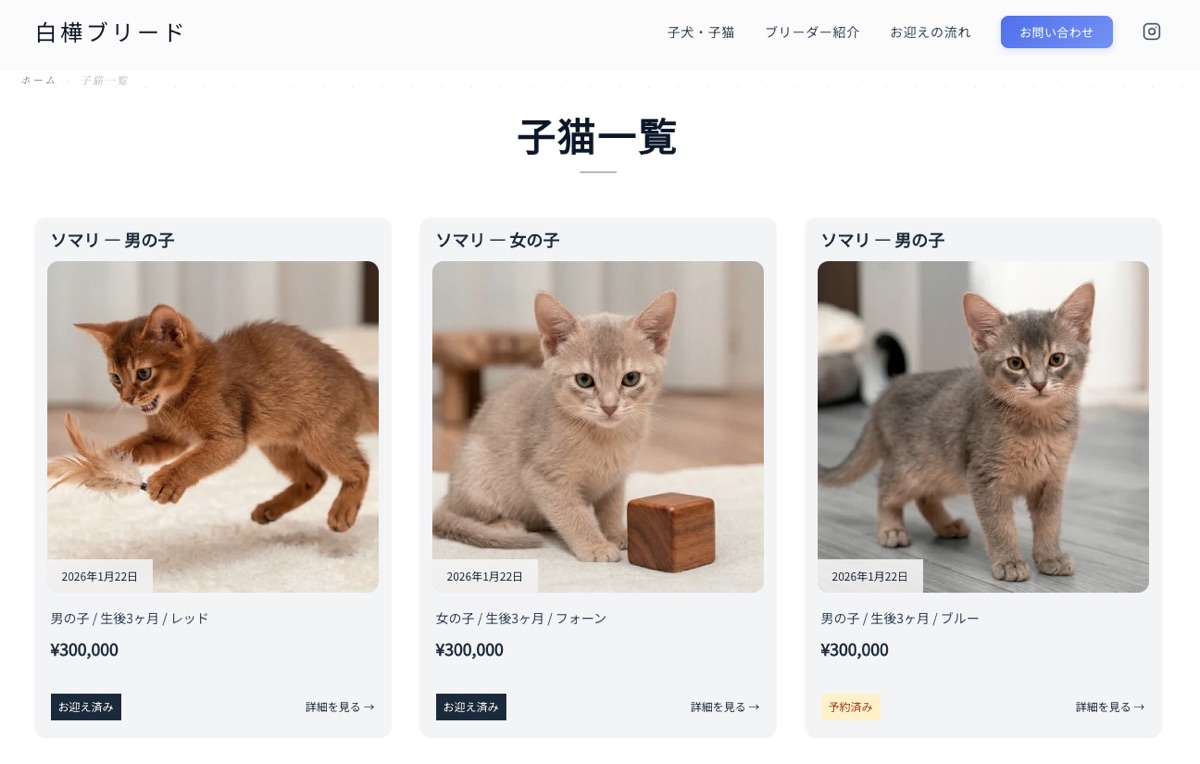 モダンテーマ 子猫一覧