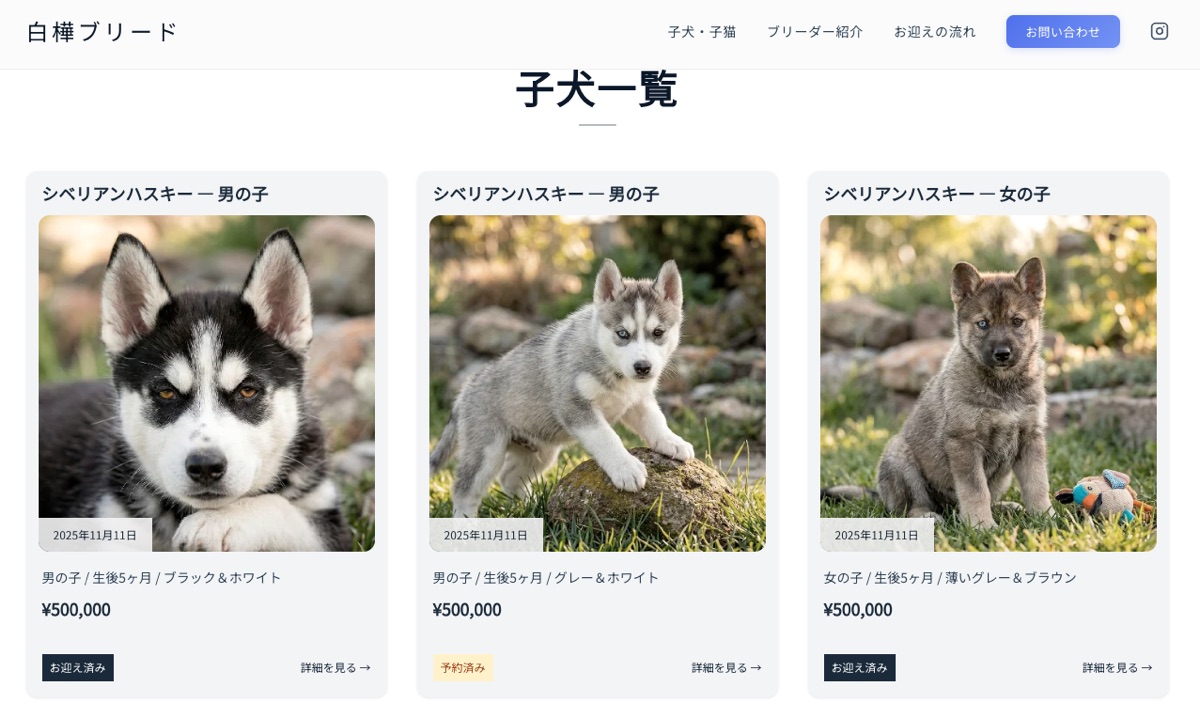 モダンテーマ 子犬一覧