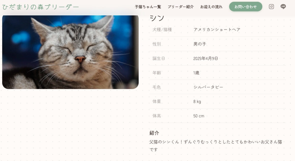 ナチュラルテーマ 親猫紹介